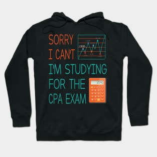 Sorry i can't i'm studing for the cpa exam Funny Accountant Hoodie